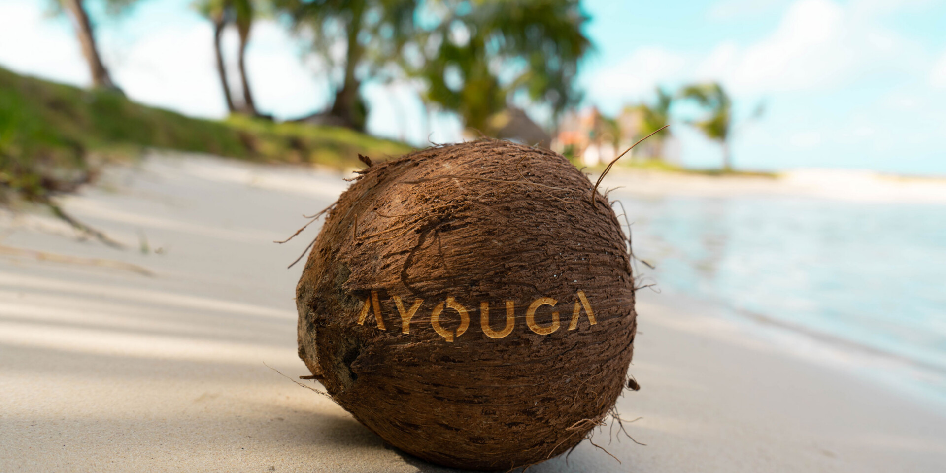Ayouga Hero Shot Logo