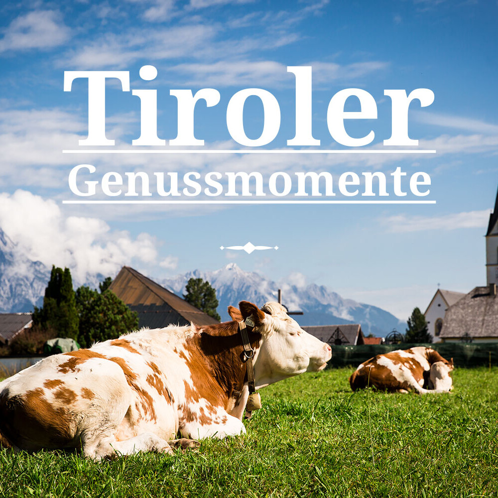 Metzger und Sohn Social Media Post Kuh Weide